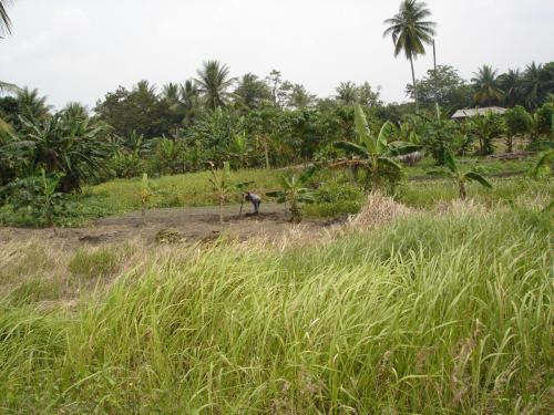 DSC00200