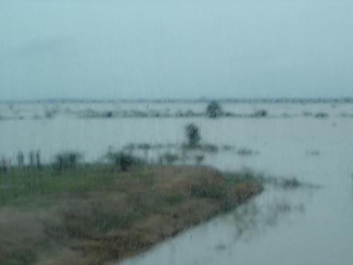 DSC00307