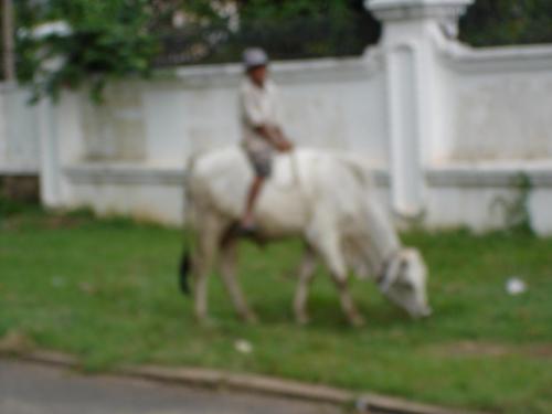 DSC00324