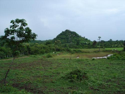 DSC00325