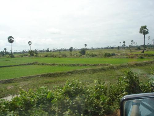 DSC00355