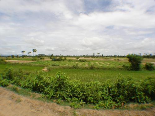 DSC00359