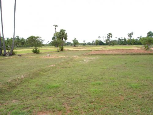 DSC00361