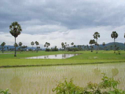 2004_4 Cambodia
