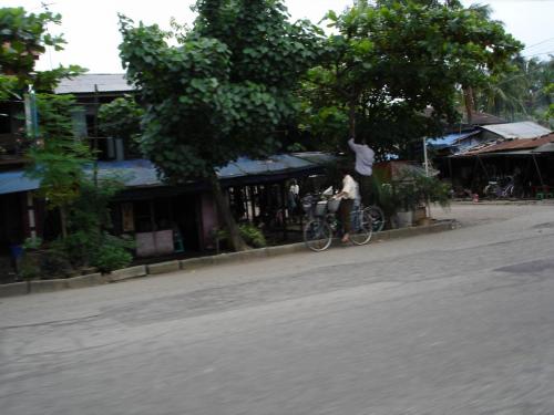 DSC00501