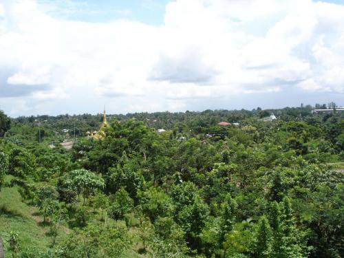 DSC00534