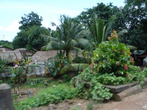 DSC00539