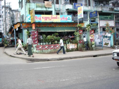 DSC00546