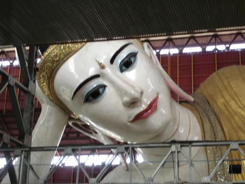 DSC00547