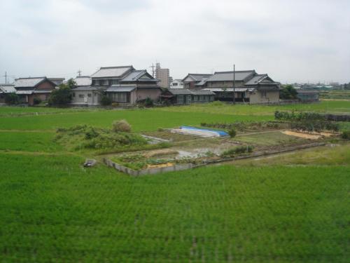 DSC01250