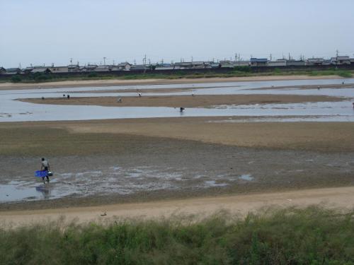 DSC01255