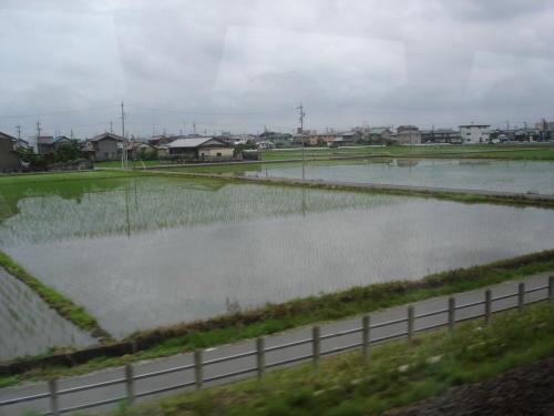 DSC01263
