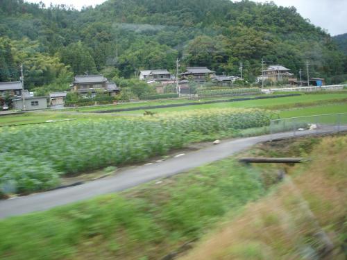 DSC01273
