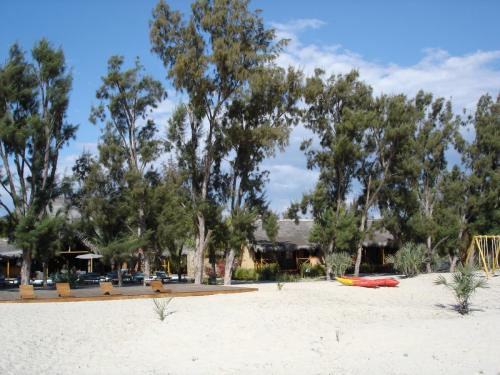 DSC00132