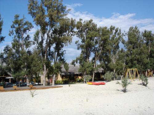 DSC00133